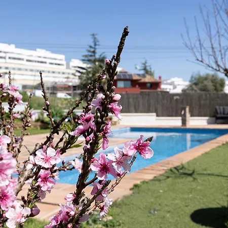 Authentic With Pool And Sea View